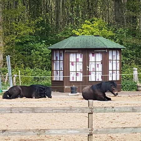 B&B de Krocht Hornsterzwaag Buitenkant foto