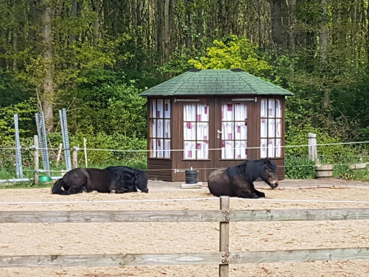 B&B de Krocht Hornsterzwaag Buitenkant foto